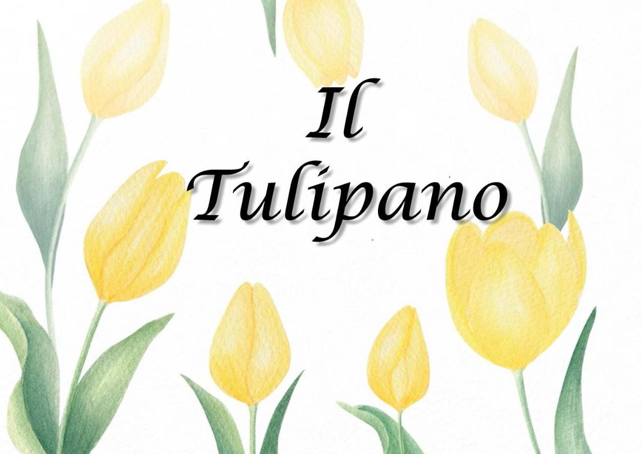 Il Tulipano Apartment Trezzano Rosa Bagian luar foto